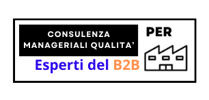 Consulenza_Qualità_per_Aziende_B2B